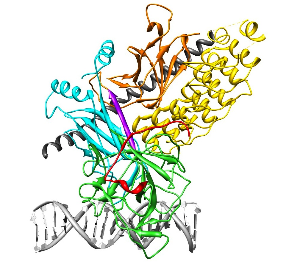 PDB:3V79